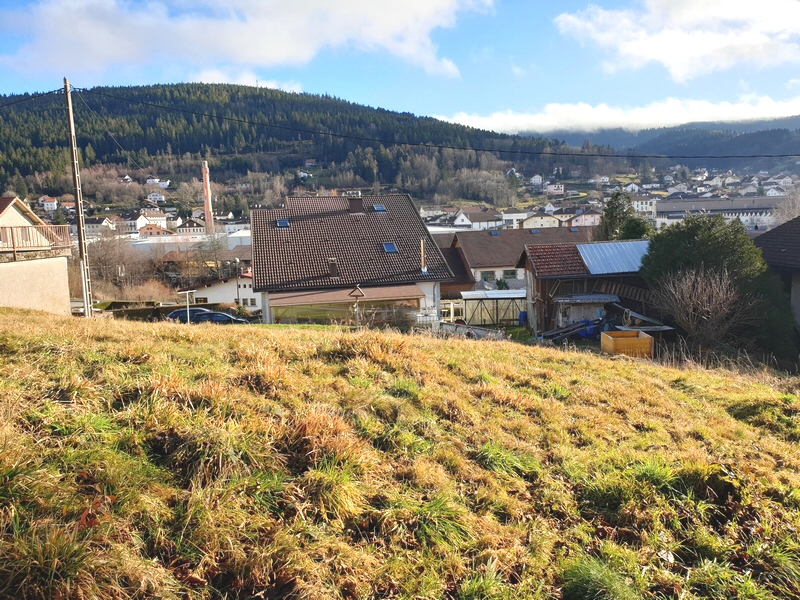 Terrain à vendre à Gérardmer - vue depuis le haut de la parcelle 163